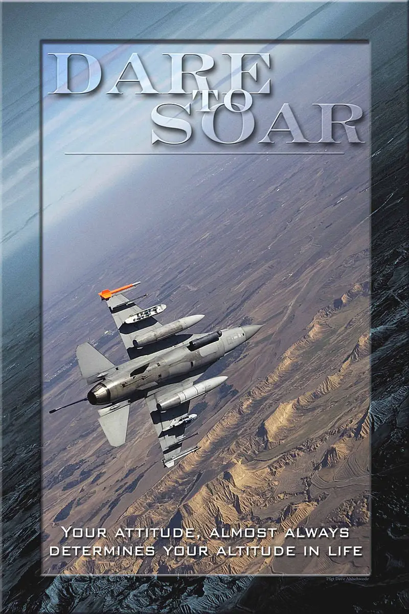 10 Lines to read and Dare to Soar Inspirational poster